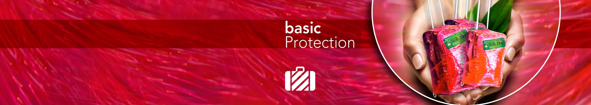 Safe Bag Basic Protection